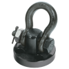 Shackle Hoist Ring